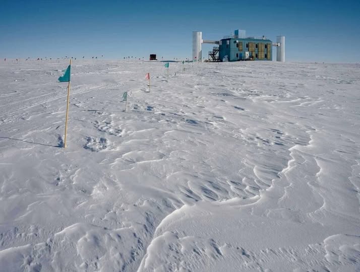 Nobel de Física 2026 destaca investigación sobre neutrinos; la UNAM participa en proyectos internacionales Nobel de Física 2026 destaca investigación sobre neutrinos; la UNAM participa en proyectos internacionales
