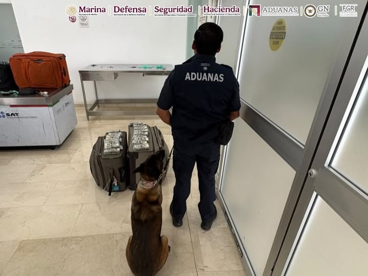 Aseguran más de 365 mil dólares ocultos en maletas de pasajero procedente de Estados Unidos en Oaxaca