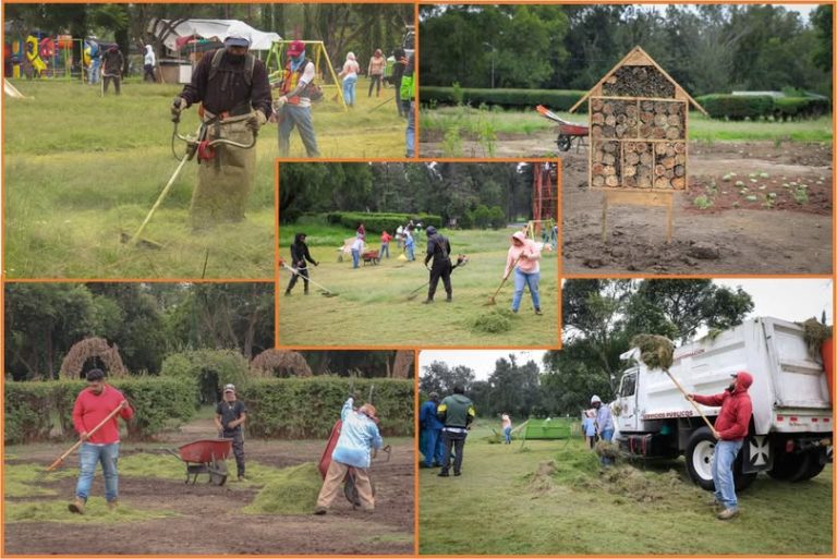 Parque Naucalli suma 1,990 árboles reforestados y 10 jardines para polinizadores en 2026