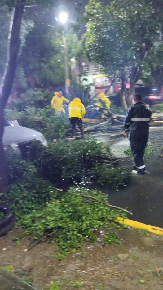 Lluvias y fuertes vientos provocan encharcamientos y caída de árboles en Tlalnepantla