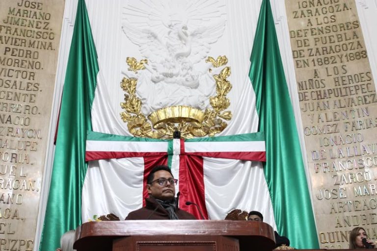 Piden reforzar campañas contra el maltrato y abandono de animales en la CDMX