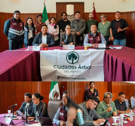 Tlalpan instala Gabinete Verde para reforzar protección del suelo de conservación