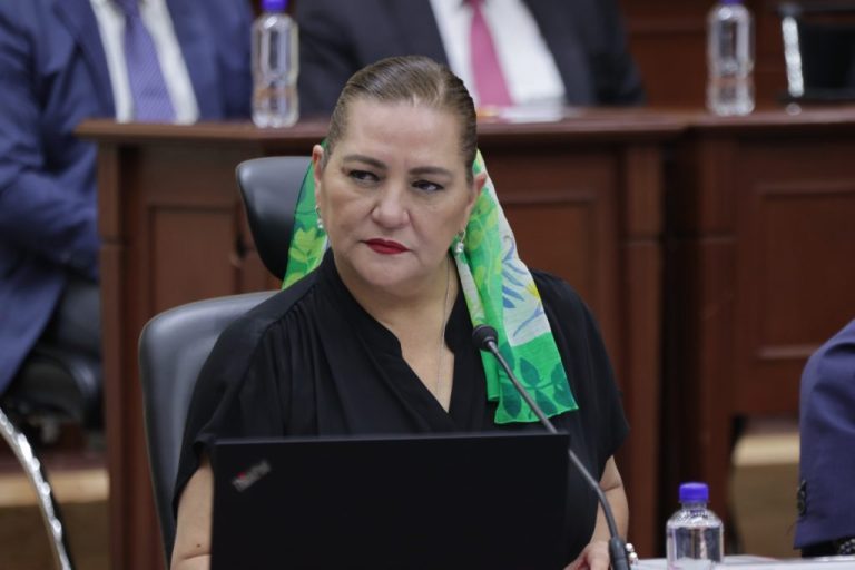 Guadalupe Taddei entrega su renuncia al INE; Diputados prepara elección de su relevo