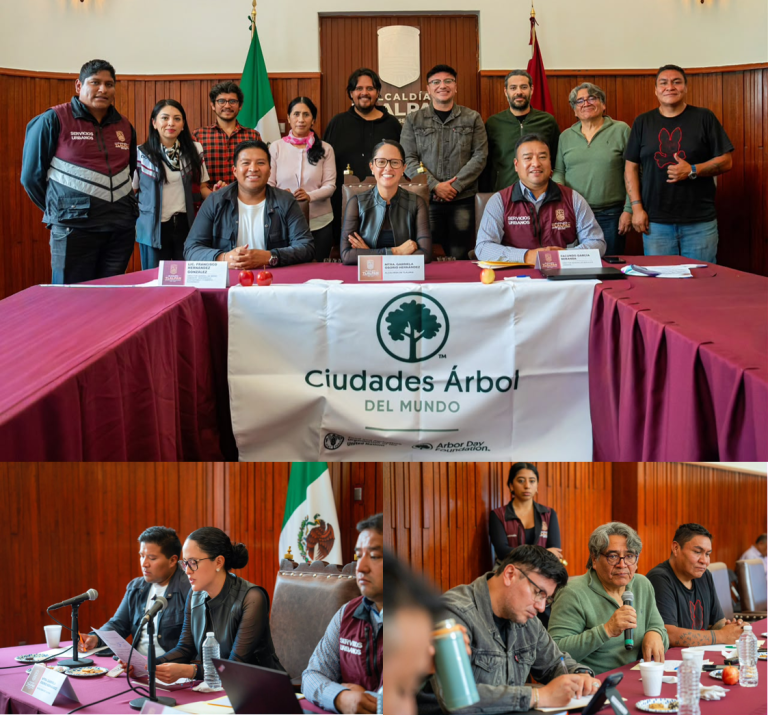 Tlalpan instala Gabinete Verde para reforzar protección del suelo de conservación