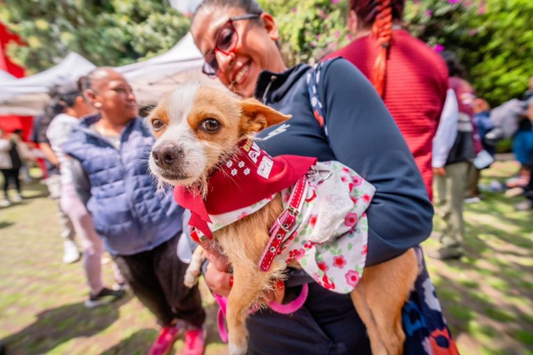 Tlalpan suma más de 78 mil atenciones veterinarias; abrirá segunda clínica pública en Villa Coapa Tlalpan suma más de 78 mil atenciones veterinarias; abrirá segunda clínica pública en Villa Coapa