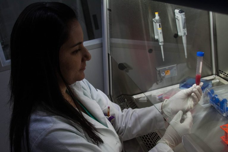 Sangrado, fiebre y moretones sin causa: alertan sobre signos que pueden advertir cáncer infantil Sangrado, fiebre y moretones sin causa: alertan sobre signos que pueden advertir cáncer infantil