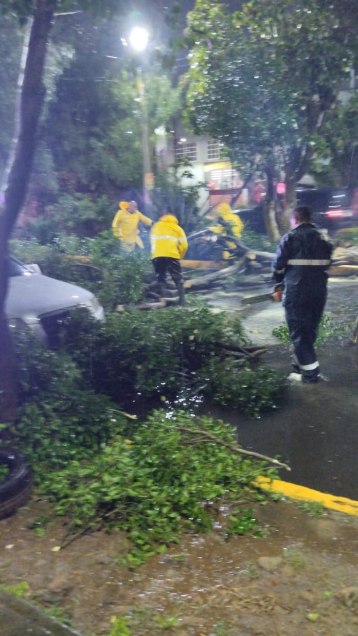 Lluvias y fuertes vientos provocan encharcamientos y caída de árboles en Tlalnepantla