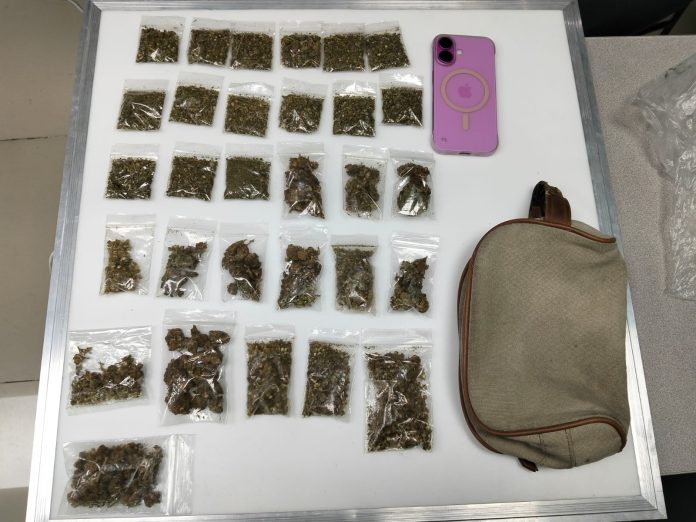 Detienen a dos jóvenes con 44 bolsas de presunta marihuana en Tlalnepantla