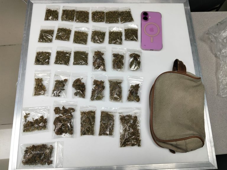 Detienen a dos jóvenes con 44 bolsas de presunta marihuana en Tlalnepantla Detienen a dos jóvenes con 44 bolsas de presunta marihuana en Tlalnepantla
