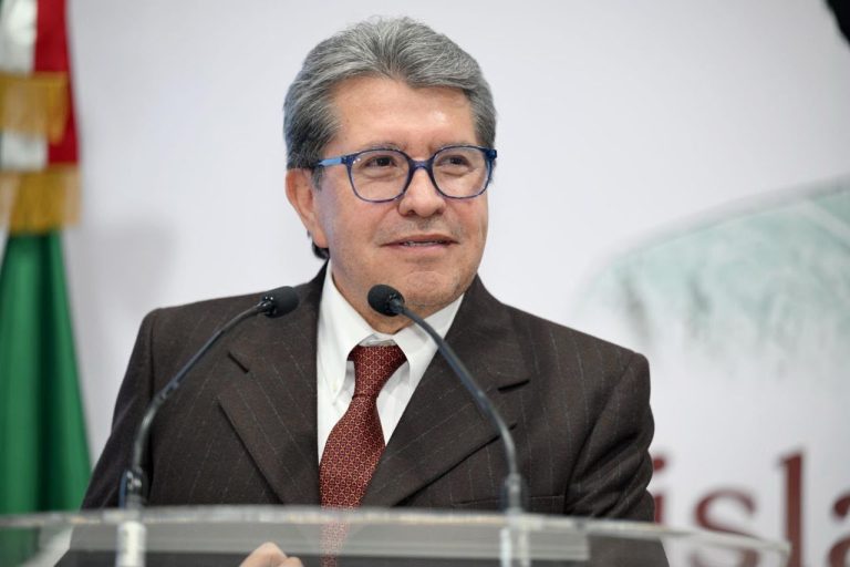 Diputados iniciarán proceso para relevar a Guadalupe Taddei en el INE: Monreal