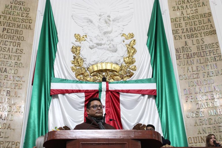 Piden reforzar campañas contra el maltrato y abandono de animales en la CDMX
